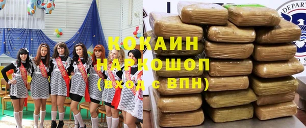 соль ск Алзамай