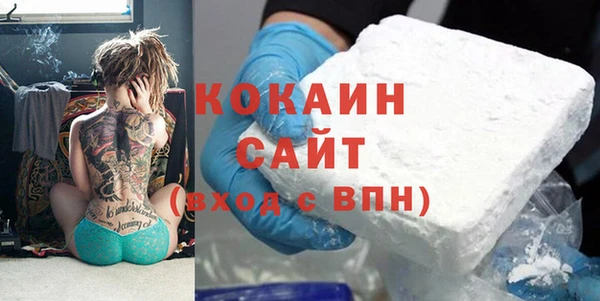 ПСИЛОЦИБИНОВЫЕ ГРИБЫ Абаза