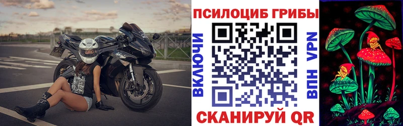 Псилоцибиновые грибы ЛСД купить наркотики сайты Петушки